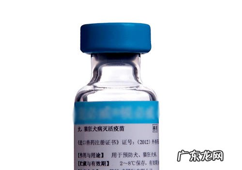 犬预苗的有关专业知识