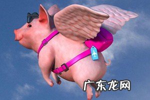 如何在飞猪开店?飞猪开店保证金是多少?