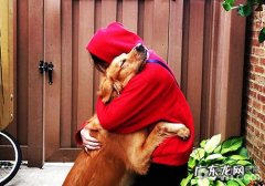 养宠物怎样管束好本身