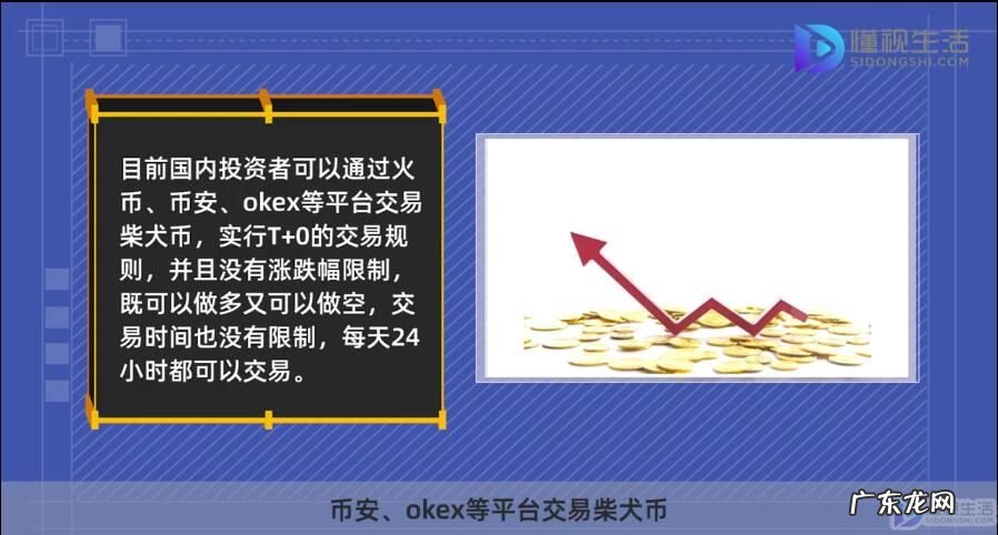 柴犬币今日市场价格? 柴犬币是什么币种