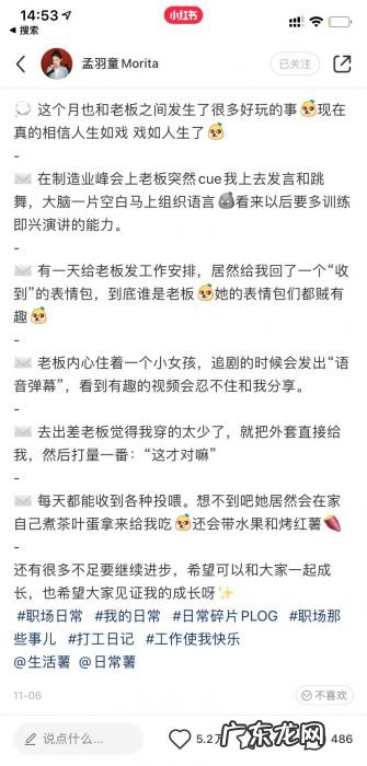 孟羽童：董明珠接班人还是“格力薇娅”？