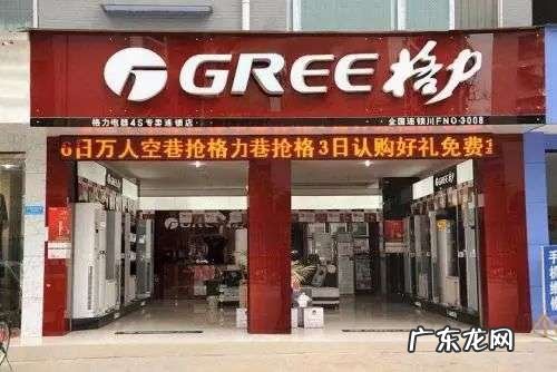 孟羽童:董明珠接班人还是“格力薇娅”?