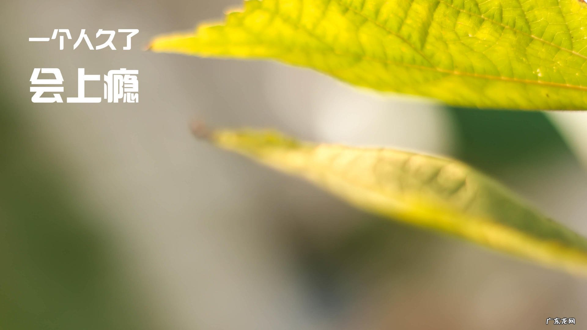 减肥第四天不掉称是怎么回事