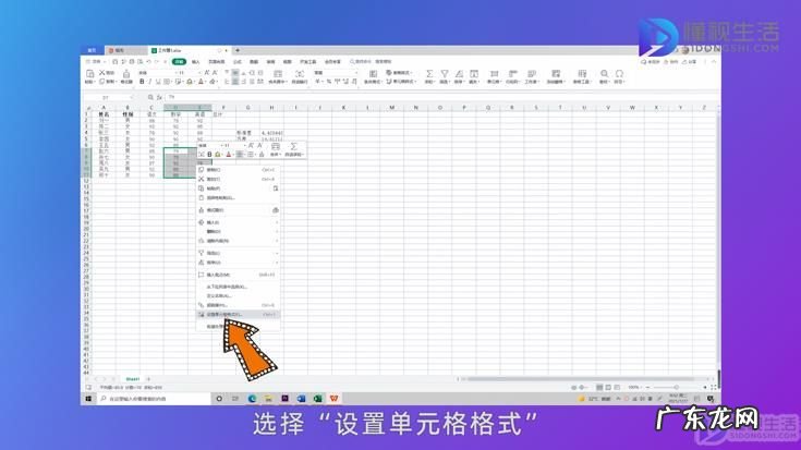 wps怎样隐藏单元格? wps表格怎么隐藏部分表格