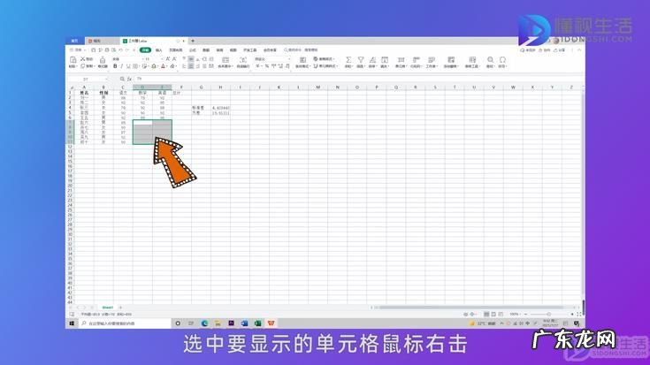 wps怎样隐藏单元格? wps表格怎么隐藏部分表格