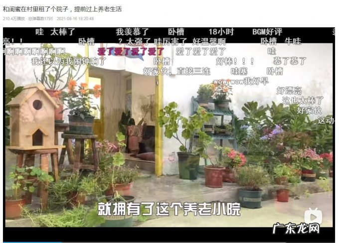 买不起房的年轻人为何迷上房屋改造?