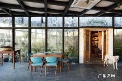 买不起房的年轻人为何迷上房屋改造？