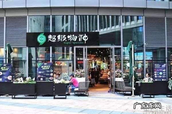 新零售的又一次探索,盒马鲜生尝试奥莱模式