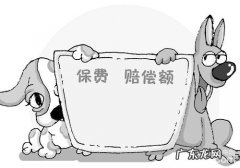 如何处理宠物保险中的‘已存有状况’