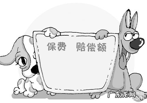 如何处理宠物保险中的‘已存有状况’