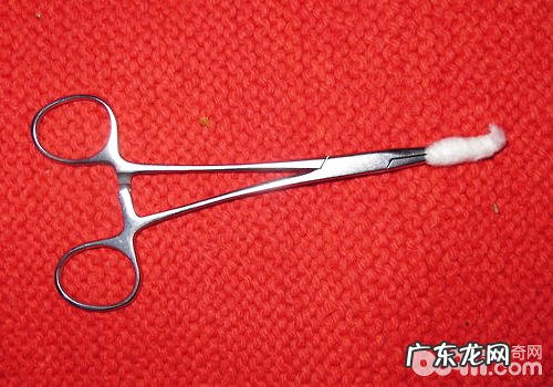 【美容护肤攻略大全】为小狗拔耳毛的方式