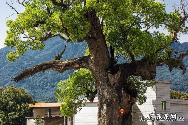 关于桥的故事传说有哪些？