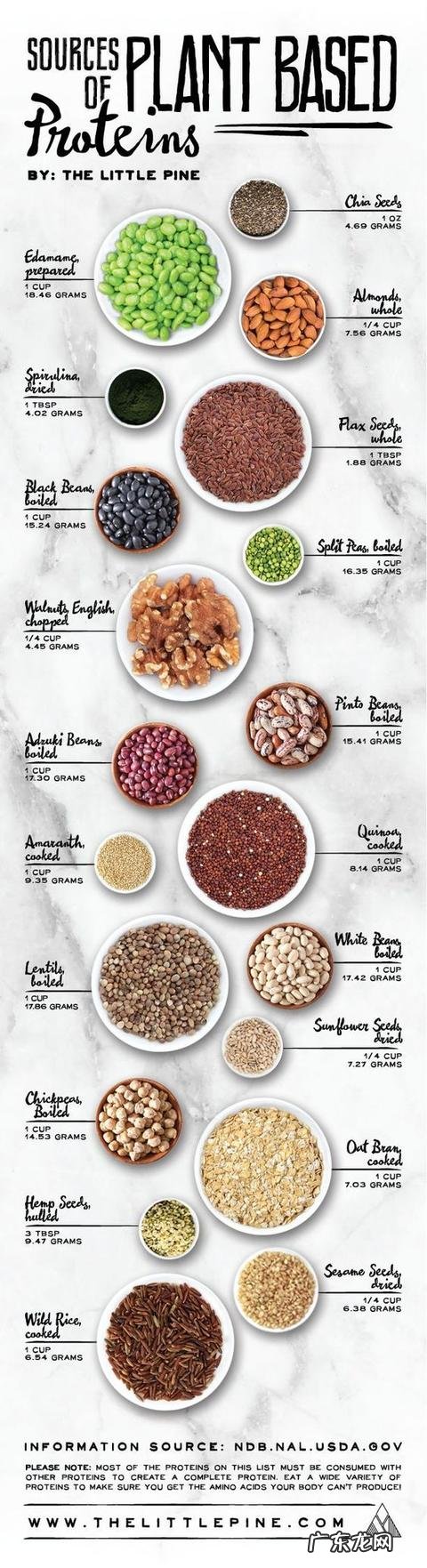 吃乳清蛋白会不会造成肾脏负荷?