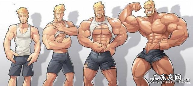 吃乳清蛋白会不会造成肾脏负荷?