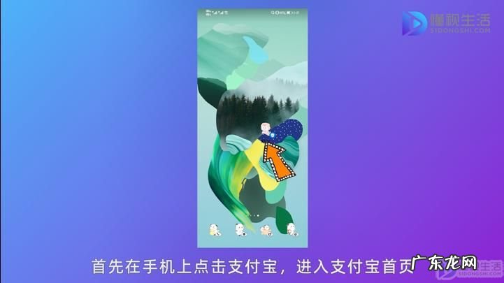 支付宝亲情卡额度怎么调整