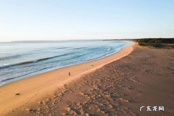 美团、拼多多业绩远不及预期