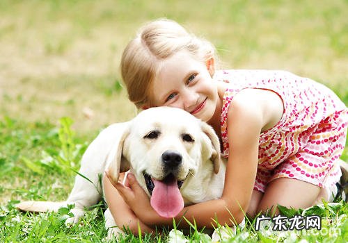 来源于不一样我国的小狗可否非常好地沟通交流