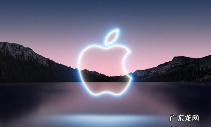 都快成提款机了!苹果又被意大利罚7200余万:库克都无奈了