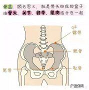 产后有哪些快速收盆骨促进瘦身的小妙招？