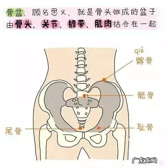 产后有哪些快速收盆骨促进瘦身的小妙招?