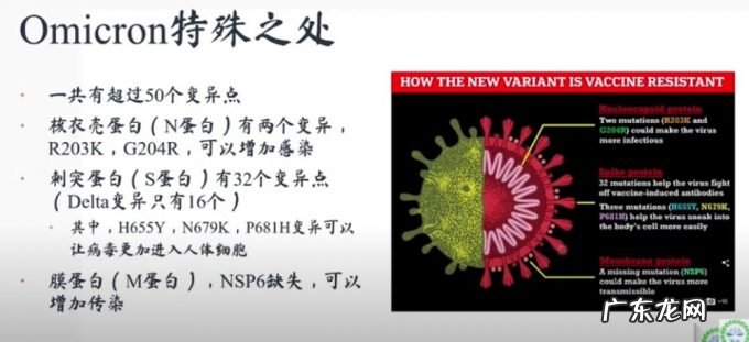 关于Omicron病毒,那些已知的信息和未知的担忧