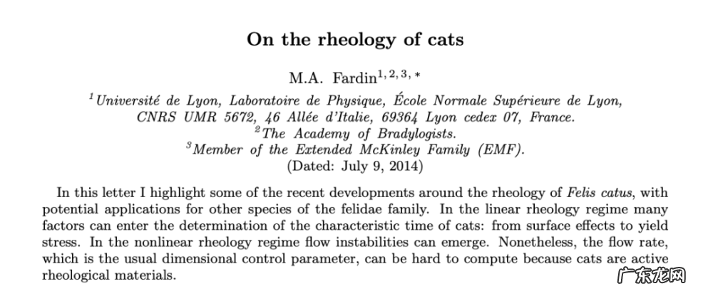 我的猫居然是图灵机?!