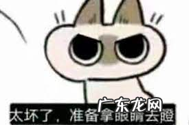 我的猫居然是图灵机?!