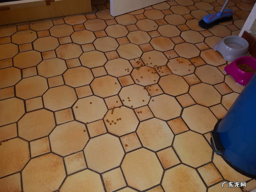 我的猫居然是图灵机?!