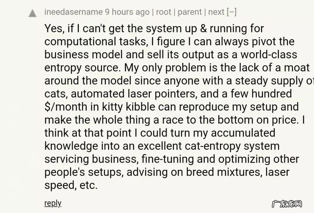 我的猫居然是图灵机?!