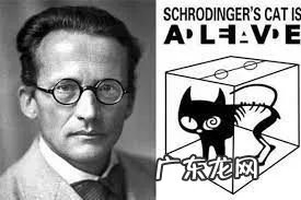 我的猫居然是图灵机?!