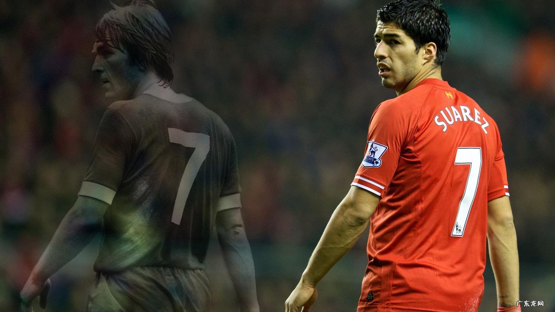 哺乳期可以喝荷叶减肥吗?