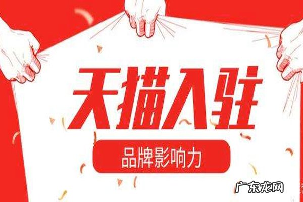 分公司负责人可以申请贷款吗 分公司可以申请入驻天猫吗？规则介绍申请天猫入驻8次了还不成功