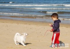 养宠物怎样防止小孩被咬