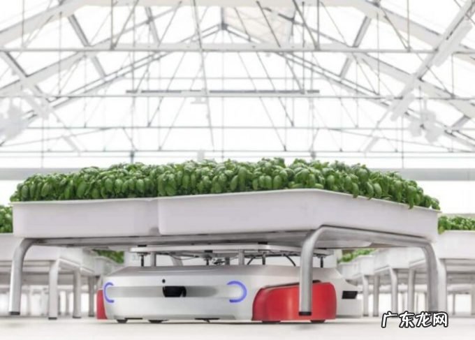 Iron Ox公司的Grover机器人可在高科技温室中举起重