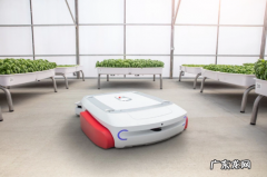 Iron Ox公司的Grover机器人可在高科技温室中举起重