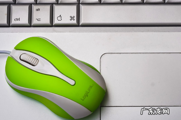 开店如何找批发商 新手淘宝开店怎么进货?有哪些方法?淘宝上开店在哪里进货