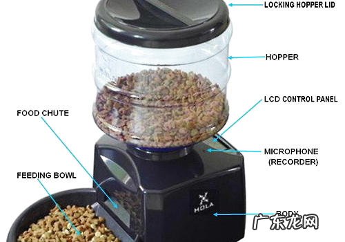 自助性吃狗粮有哪些缺点