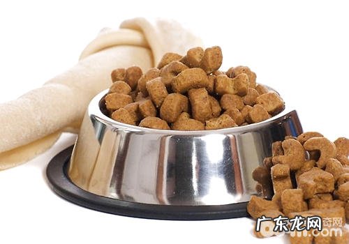 犬粮的益处有什么