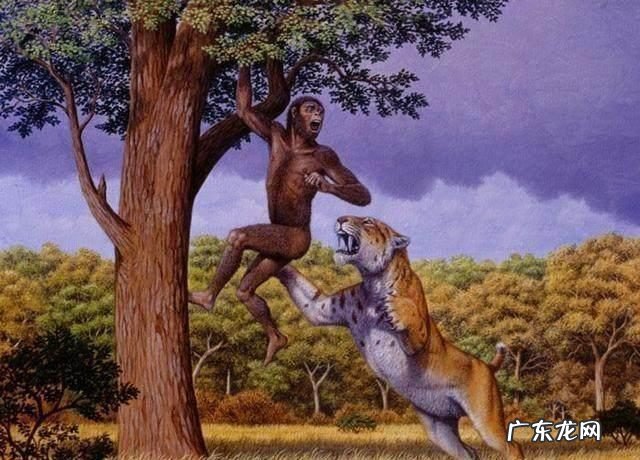 人体有哪些不合理的结构？直立行走为何让全人类成为“早产儿”？