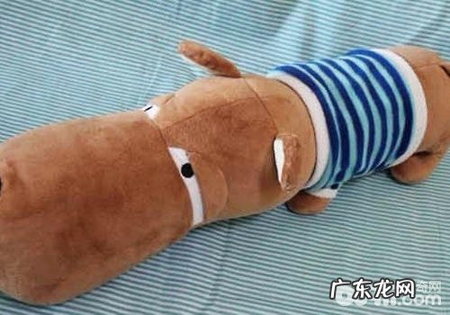 挑选小狗毛绒娃娃要留意什么难题