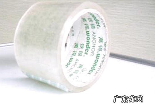 清除狗毛的实用工具有什么