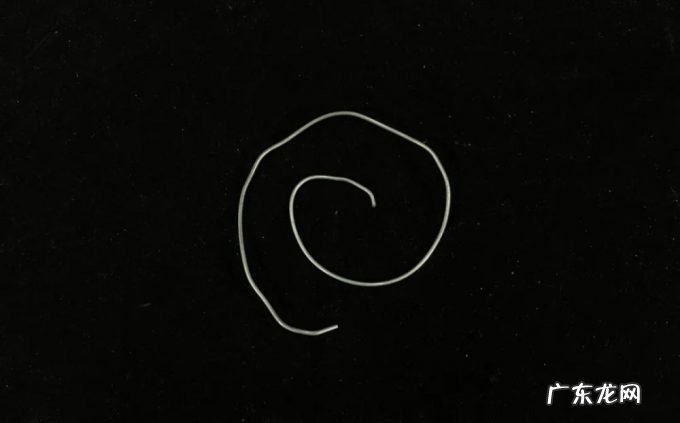 不会失败的漂移技巧,还不学起来?|正经玩