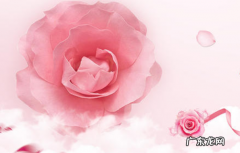 天猫东西比淘宝好吗 天猫和淘宝哪个好？为什么？天猫好做还是c店好做