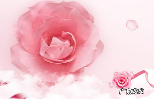 天猫东西比淘宝好吗 天猫和淘宝哪个好?为什么?天猫好做还是c店好做