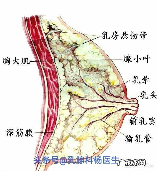 乳腺增生和结节,可以每天热敷缓解吗?