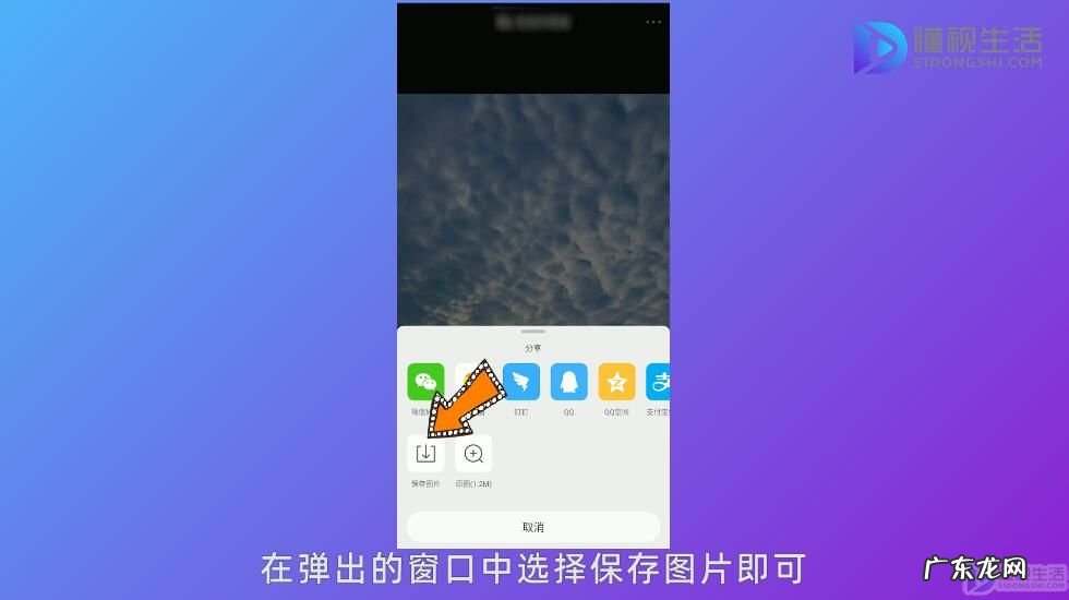 为什么微博保存的图片不见了? 新浪微博怎么保存图片