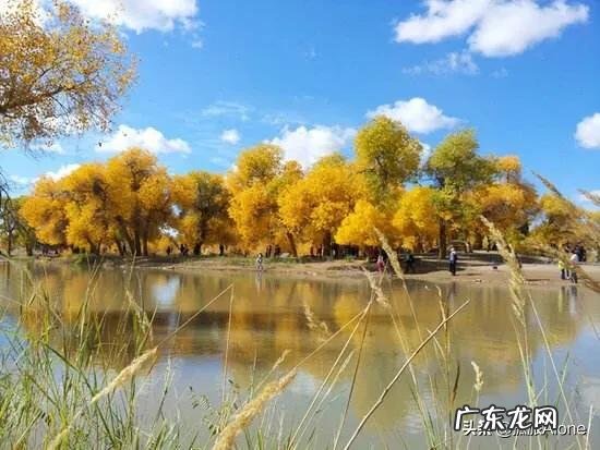 十一想去阿拉善英雄会看看,值得去吗?