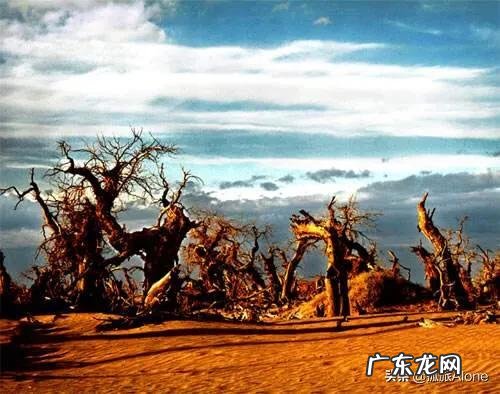 十一想去阿拉善英雄会看看,值得去吗?