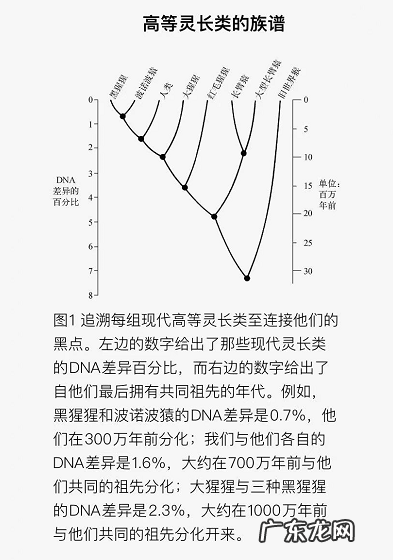 贵州茅台的长短投资逻辑