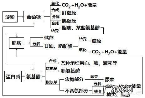 油等于肥胖和高血脂,所以不吃油就好了吗?